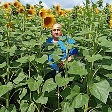 Фотография мужчины Александр, 61 год из г. Новосибирск