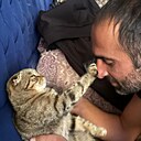 Керимов, 36 лет