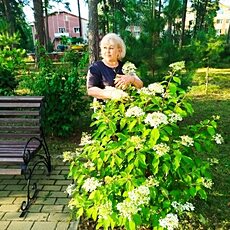 Фотография девушки Ольга, 69 лет из г. Барнаул