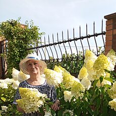 Фотография девушки Натали, 69 лет из г. Иваново