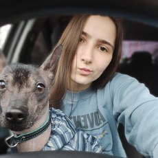Фотография девушки Дарья, 22 года из г. Москва