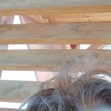 Фотография девушки Ксения, 54 года из г. Ростов Великий