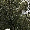 Рома, 27 лет