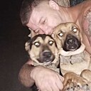 Sergei, 38 лет