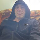 Лев, 43 года