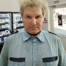 Фотография мужчины Владимир, 61 год из г. Торбеево