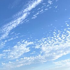 Фотография мужчины Максим, 36 лет из г. Ярославль