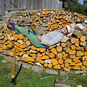 Светлана, 66 лет