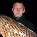 Алекс, 41 год