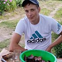 Александр, 36 лет