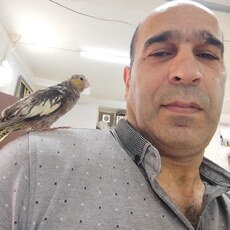 Фотография мужчины Mahir, 49 лет из г. Баку