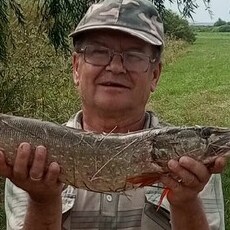 Фотография мужчины Victor, 67 лет из г. Гай