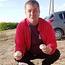 Андрей, 47 лет