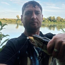 Фотография мужчины Евгений, 47 лет из г. Калуга