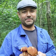 Фотография мужчины Владимир, 47 лет из г. Калуга