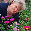 Светлана, 59 лет
