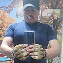 Лев, 39 лет
