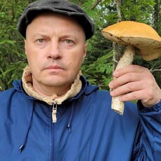 Фотография мужчины Роман, 51 год из г. Химки
