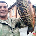 Боб, 37 лет