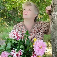 Фотография девушки Вера, 62 года из г. Тула