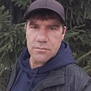 Virus, 64 года