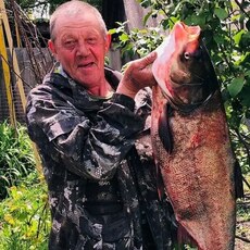Фотография мужчины Александр, 67 лет из г. Белинский