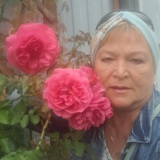 Фотография девушки Светлана, 68 лет из г. Пермь