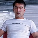 Шахрух, 31 год