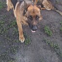 Серик, 43 года