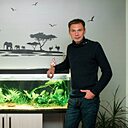 Александр, 38 лет