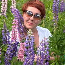 Фотография девушки Светлана, 52 года из г. Пермь