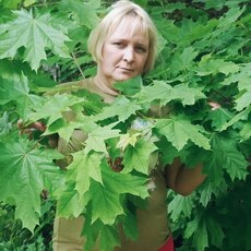 Фотография девушки Марина, 41 год из г. Первомайский (Тамбовская Область