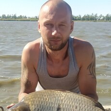 Фотография мужчины Алексей, 38 лет из г. Шахты