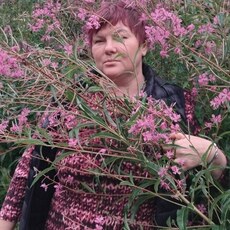Фотография девушки Наталья, 46 лет из г. Новомосковск