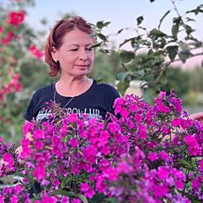 Фотография девушки Лиса, 47 лет из г. Тверь