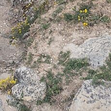 Фотография мужчины Олег, 50 лет из г. Евпатория