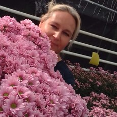 Фотография девушки Светлана, 48 лет из г. Гвардейск
