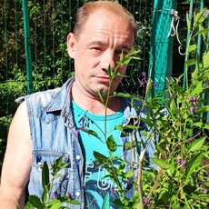 Фотография мужчины Сергей, 42 года из г. Выборг