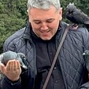 Толик, 40 лет