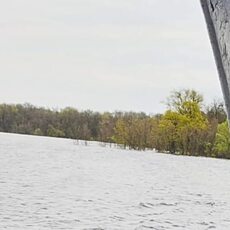 Фотография девушки Та Самая, 41 год из г. Гомель