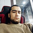 Волк, 28 лет