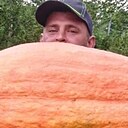 Александр, 37 лет