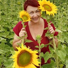 Фотография девушки Ольга, 61 год из г. Астана