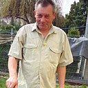 Роман, 51 год