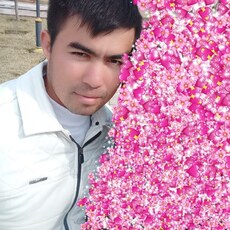 Фотография мужчины Samir, 32 года из г. Ташкент