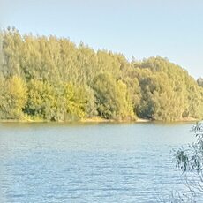 Фотография мужчины Павел, 43 года из г. Рязань