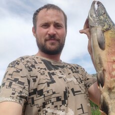 Фотография мужчины Николай, 35 лет из г. Усолье-Сибирское