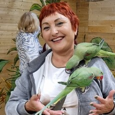 Фотография девушки Ната, 62 года из г. Яровое