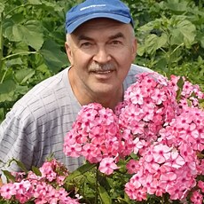 Фотография мужчины Анатолий, 63 года из г. Владимир