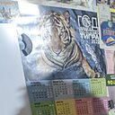 Елена, 58 лет